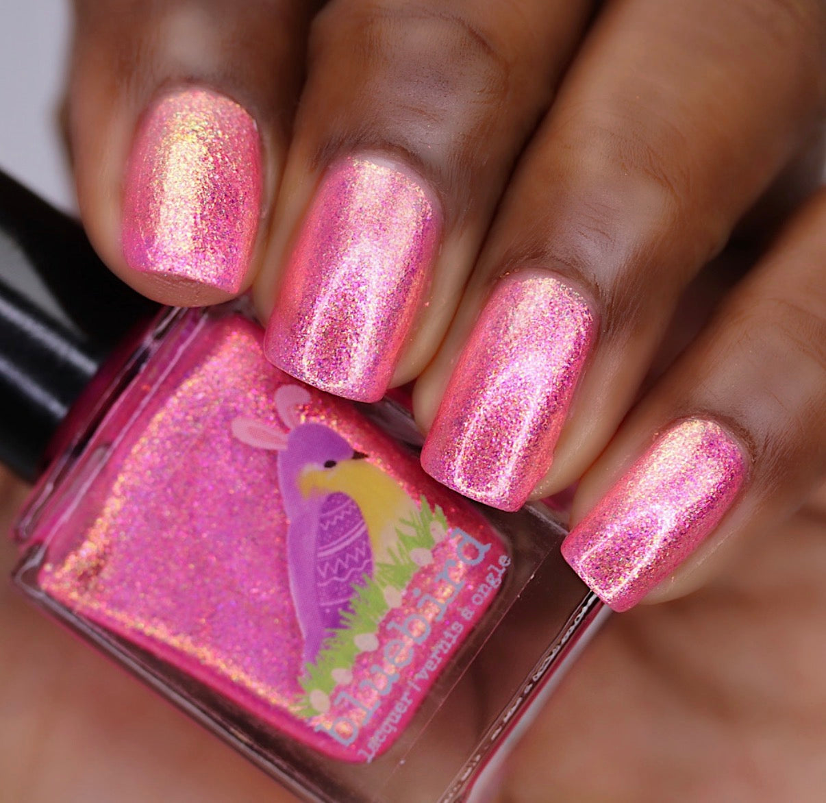 Eggscellent Adventure