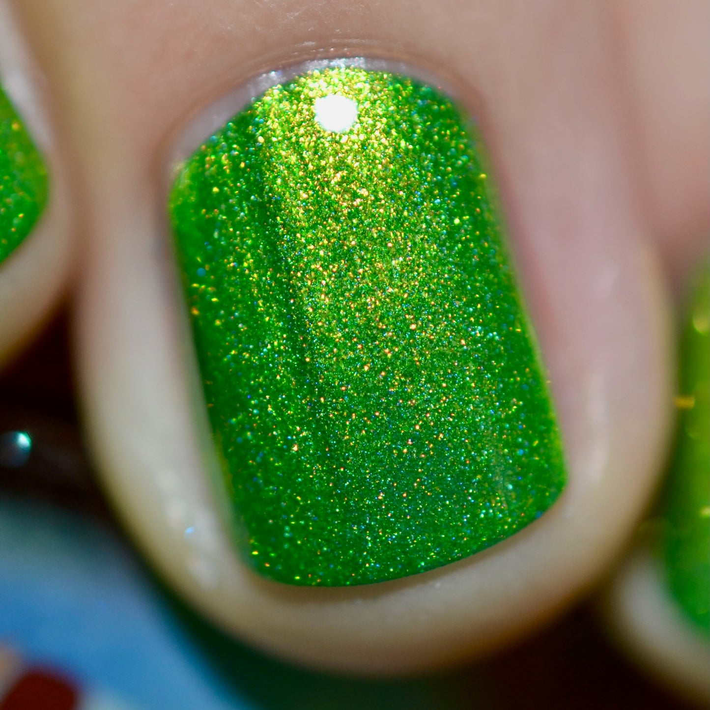 This Evenings Wintertainment