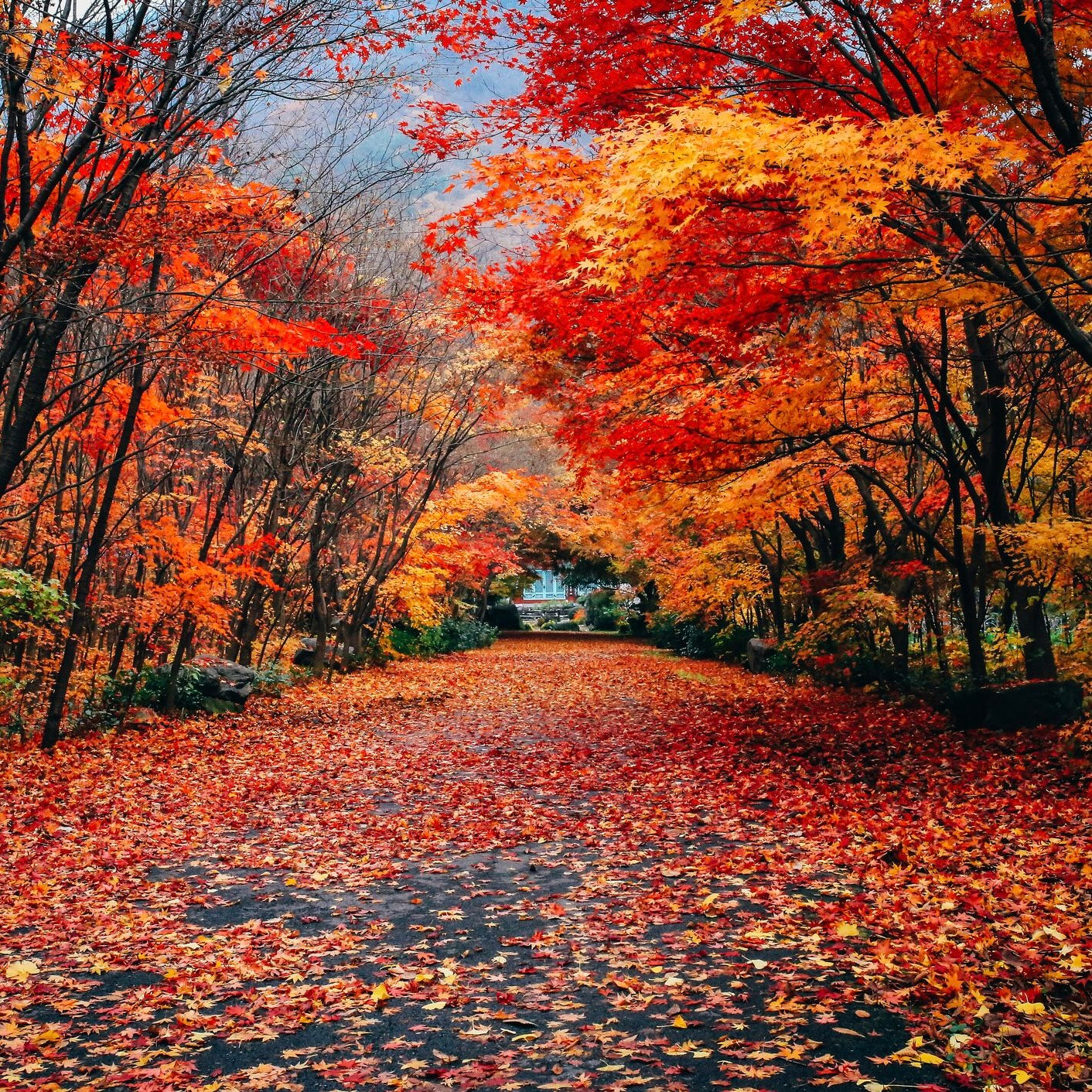 No More Uglicles Cuticle Balm