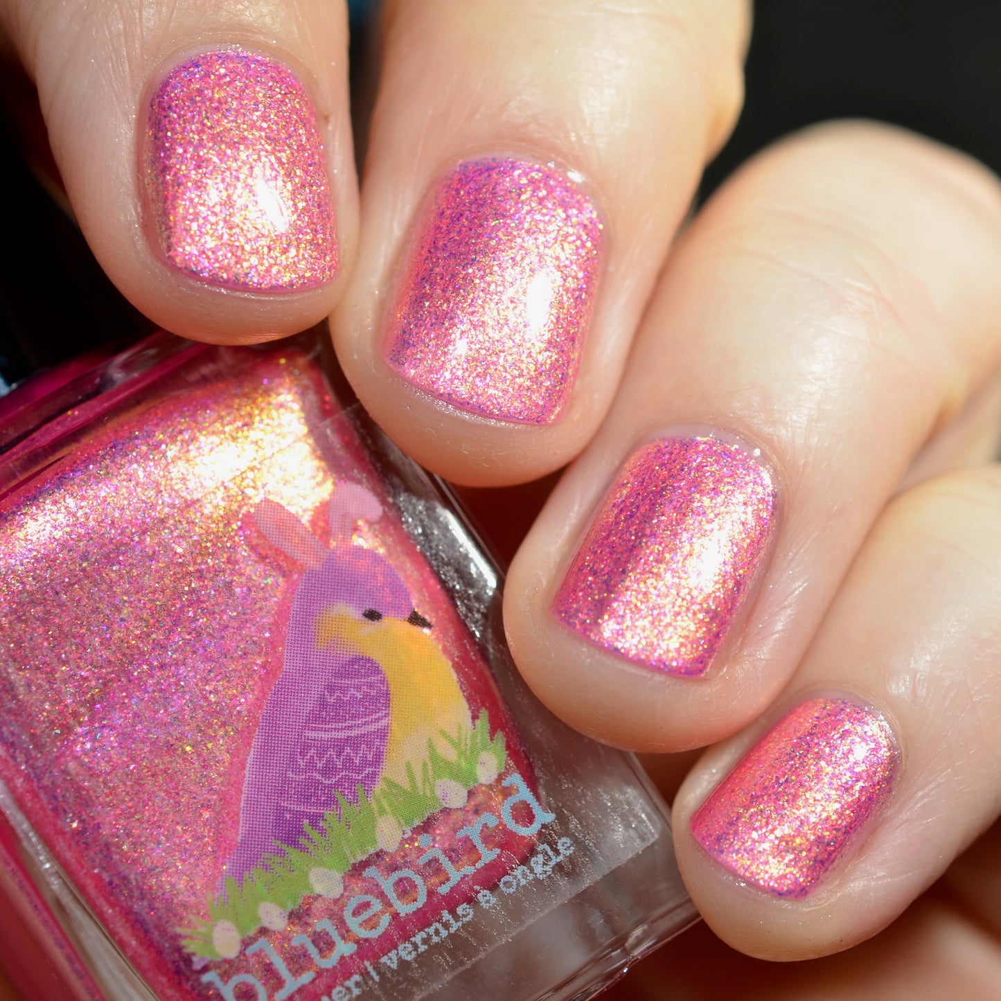 Eggscellent Adventure