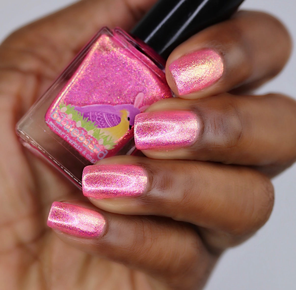 Eggscellent Adventure