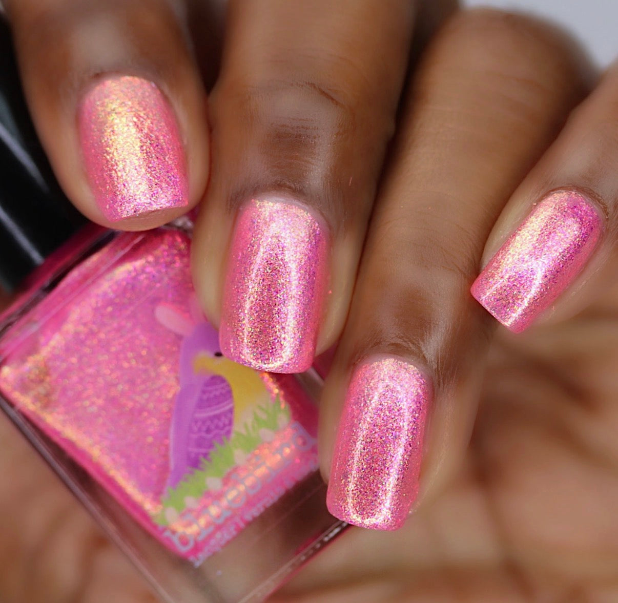 Eggscellent Adventure