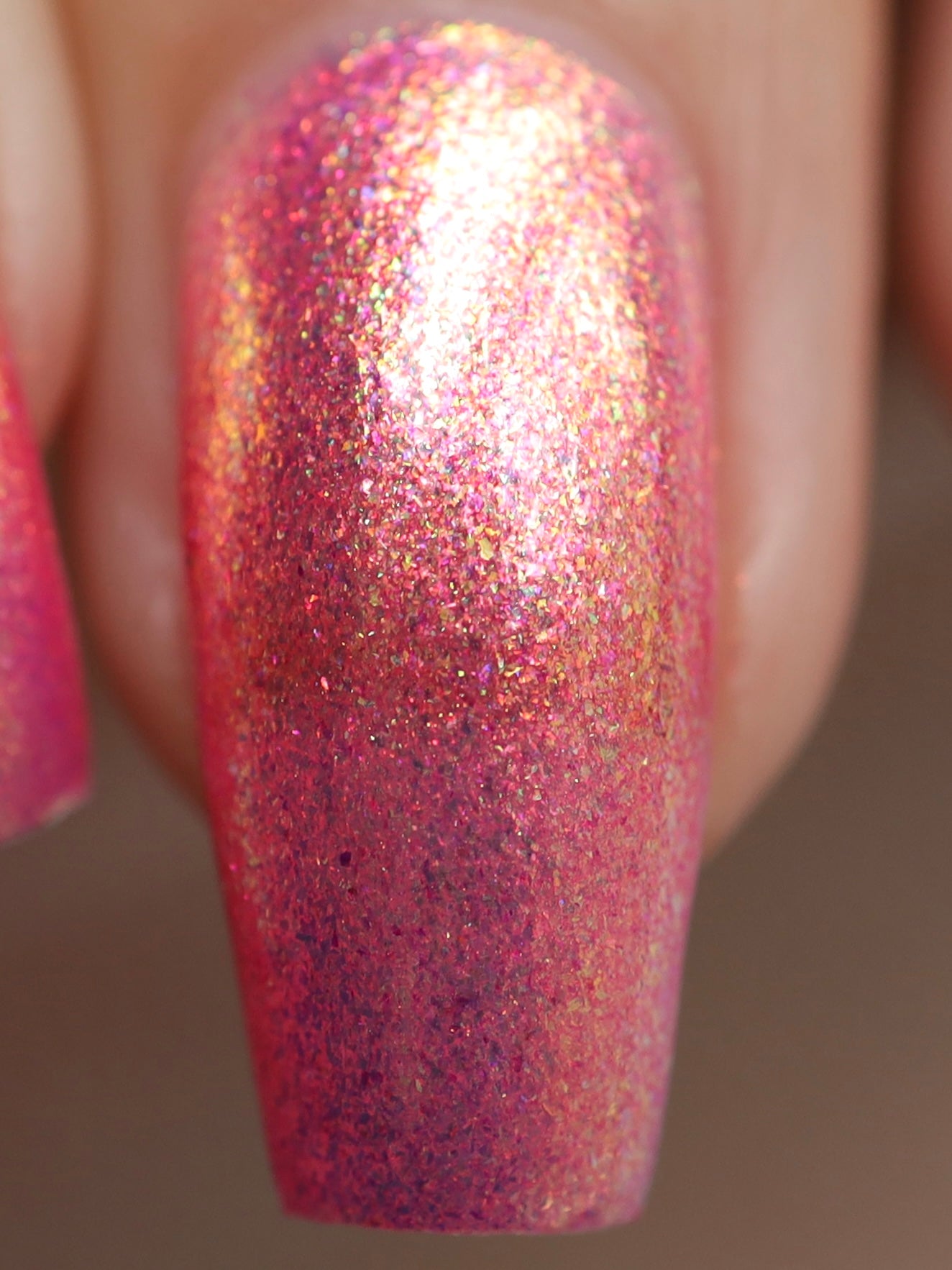 Eggscellent Adventure