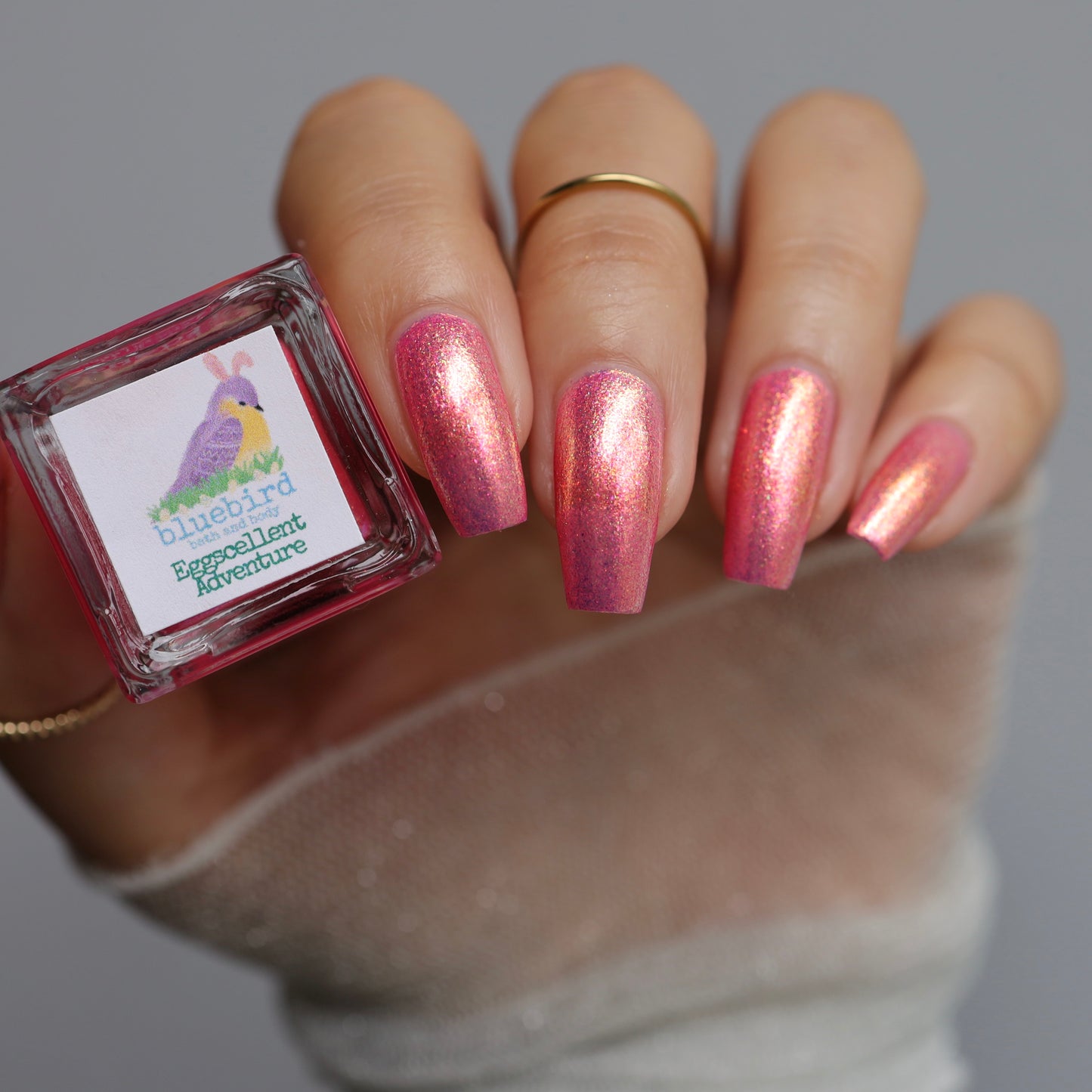 Eggscellent Adventure