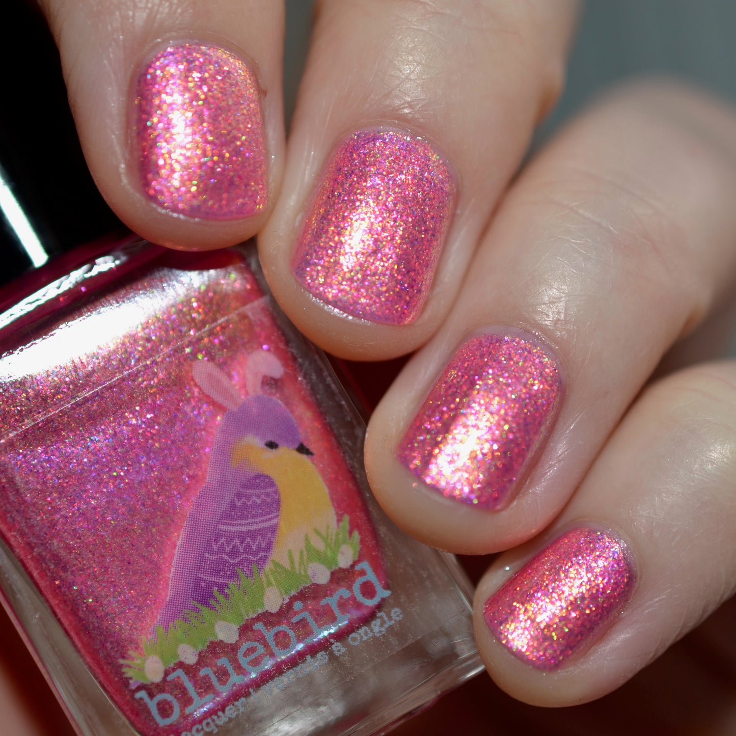 Eggscellent Adventure