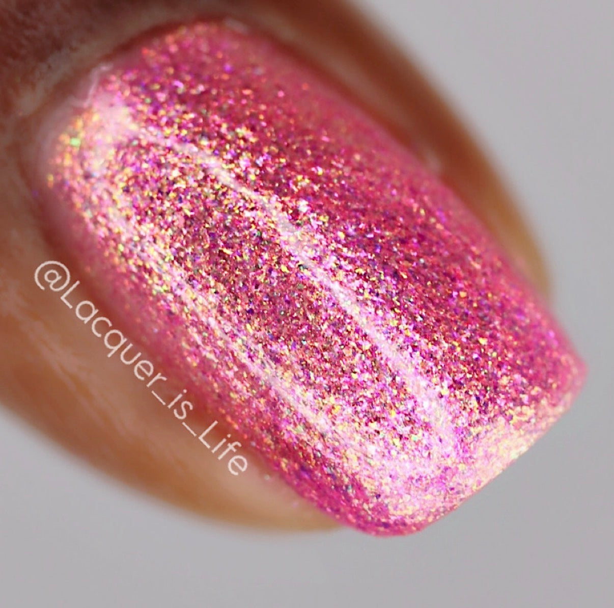 Eggscellent Adventure