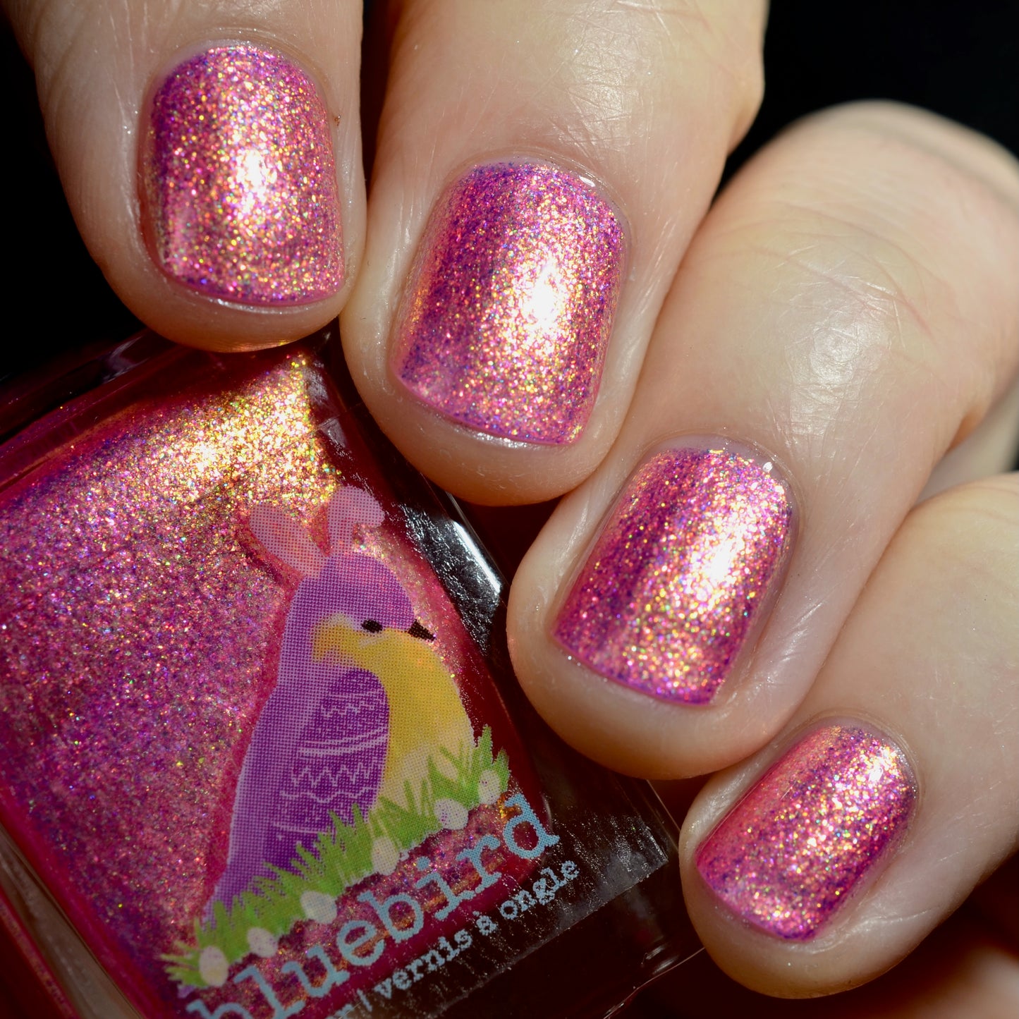 Eggscellent Adventure