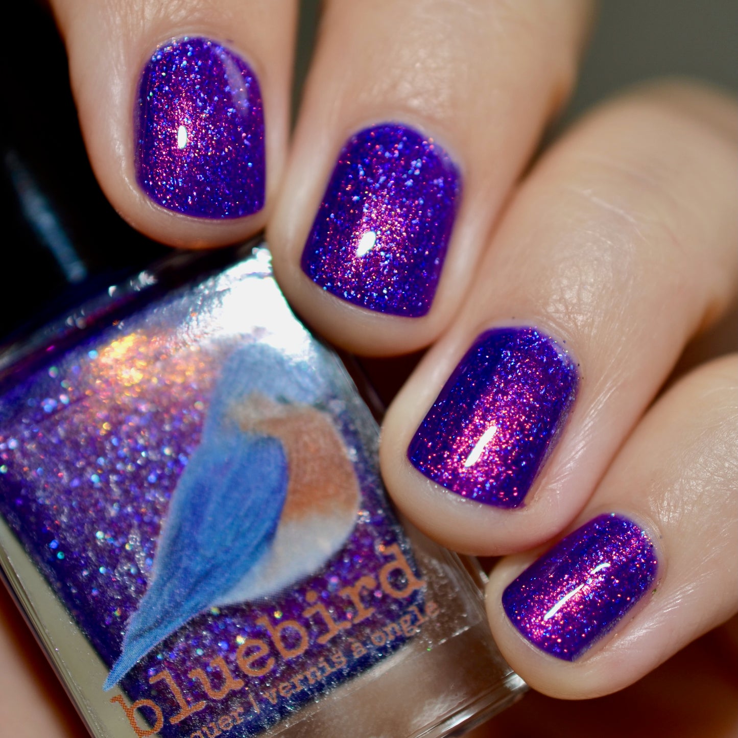 SHIMMAHS Group Custom November