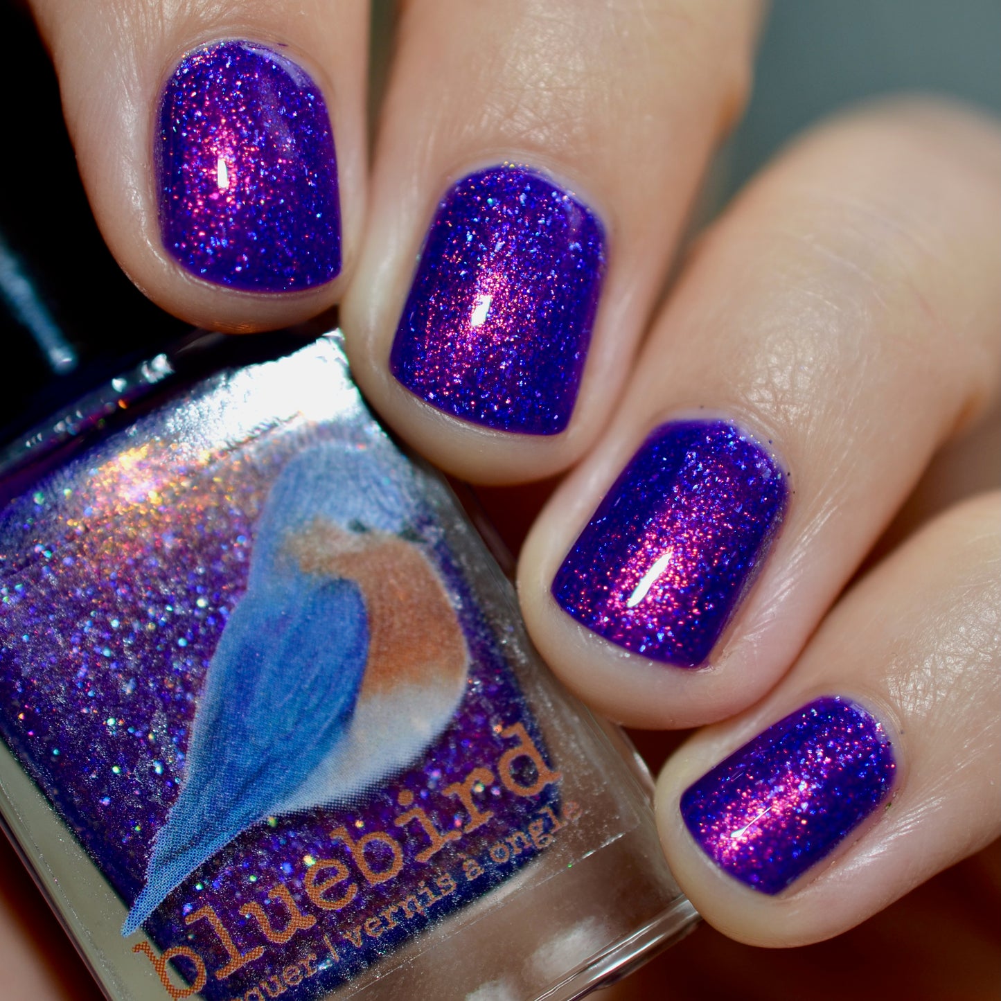 SHIMMAHS Group Custom November