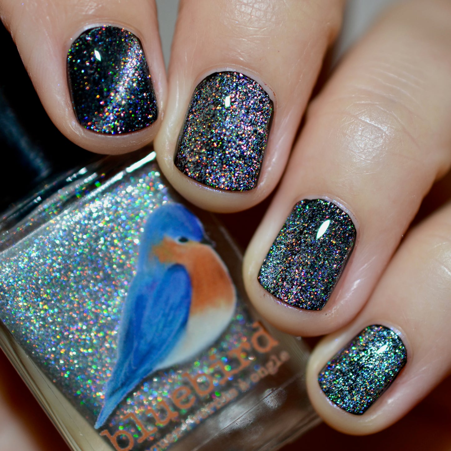 F'HOLO UP