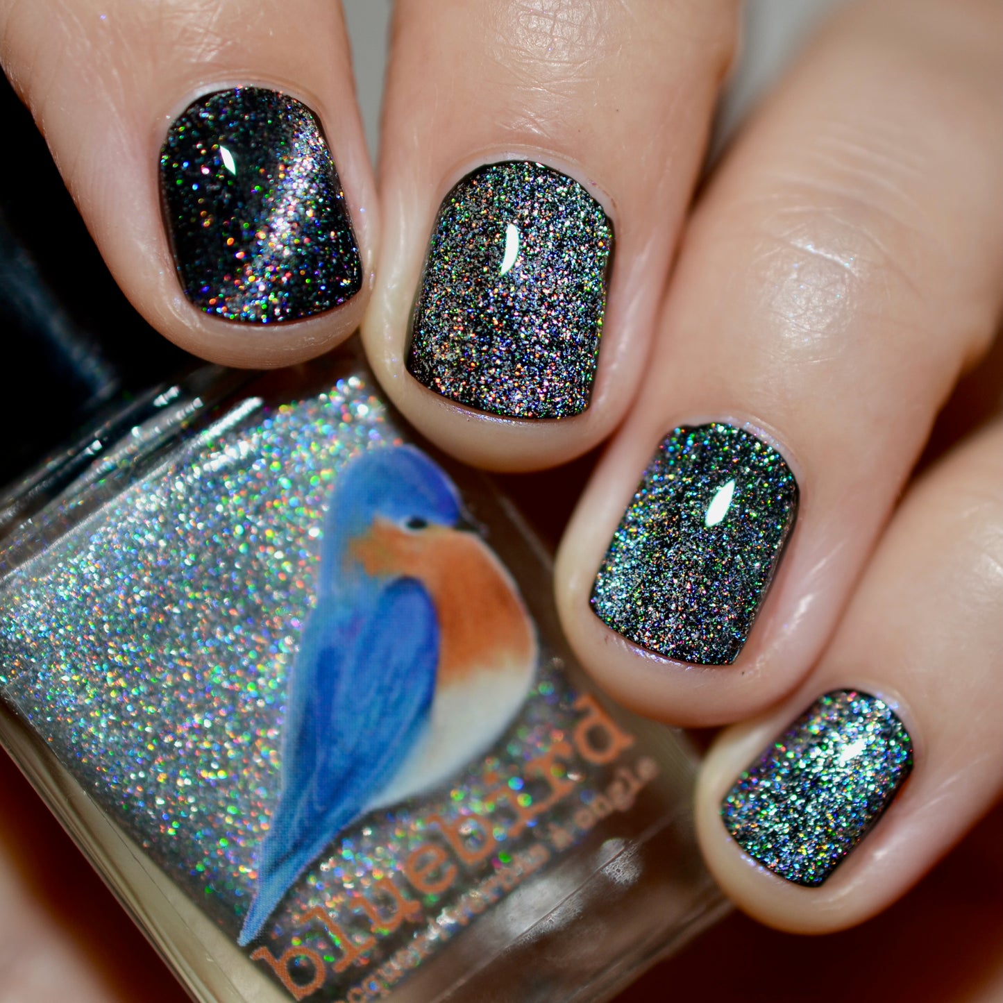 F'HOLO UP