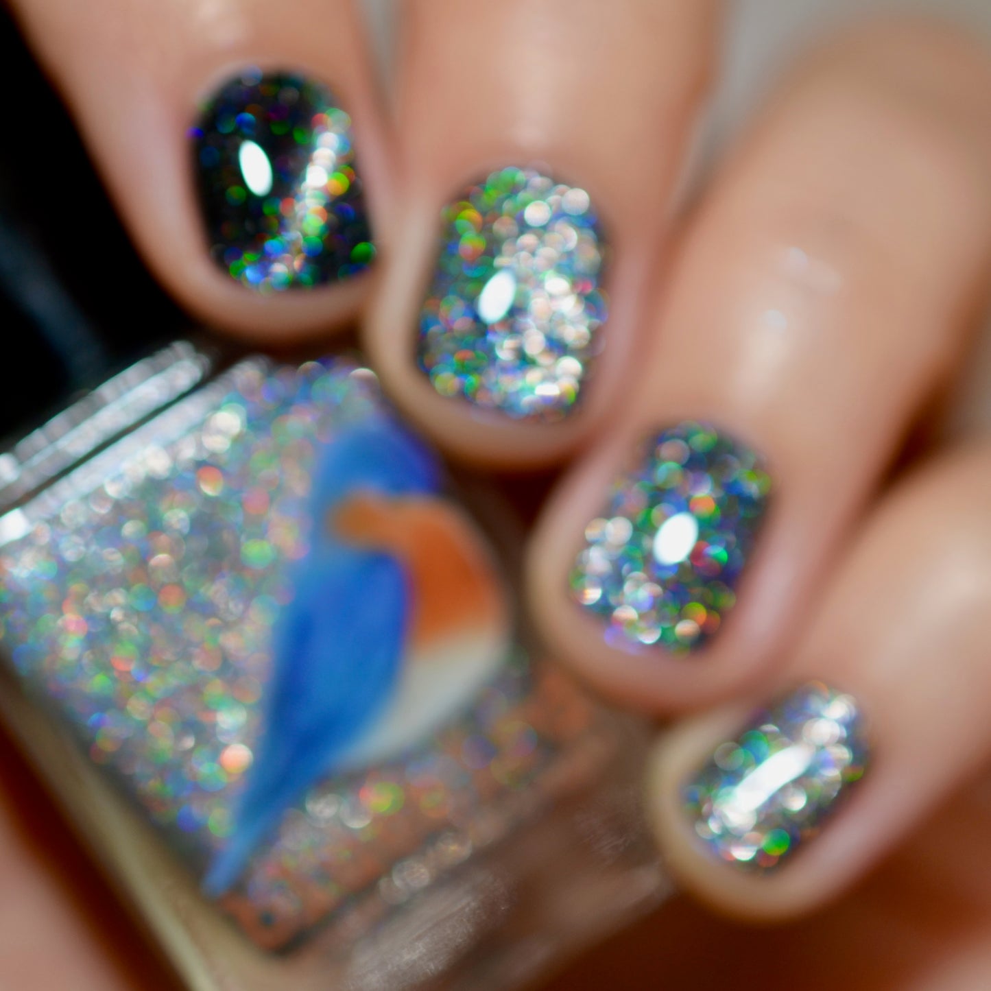 F'HOLO UP