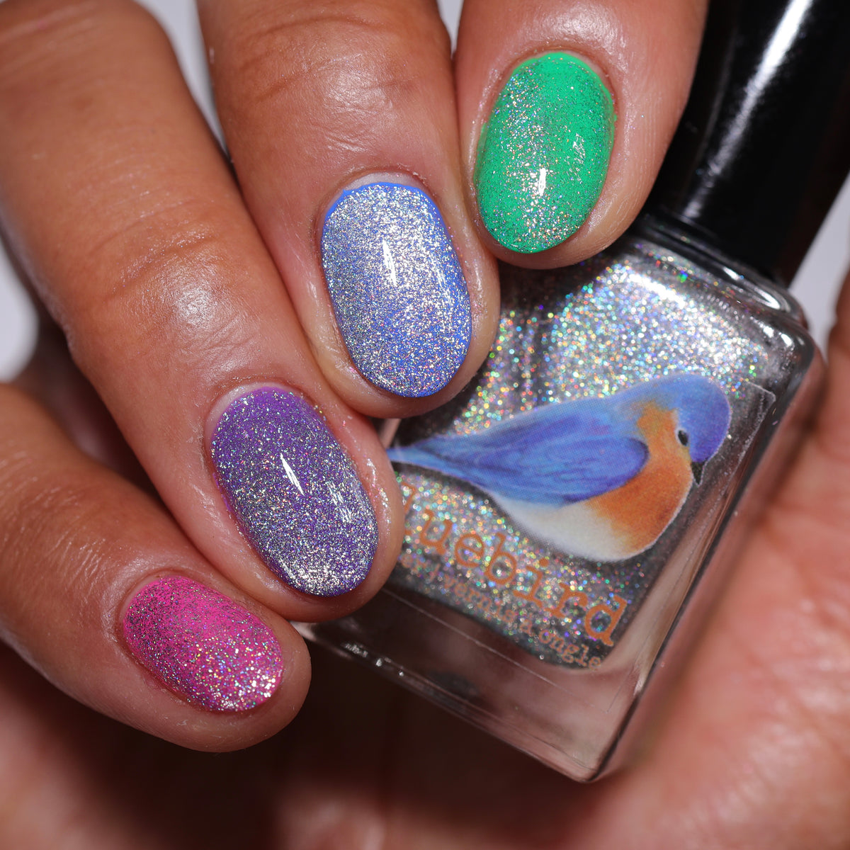 F'HOLO UP