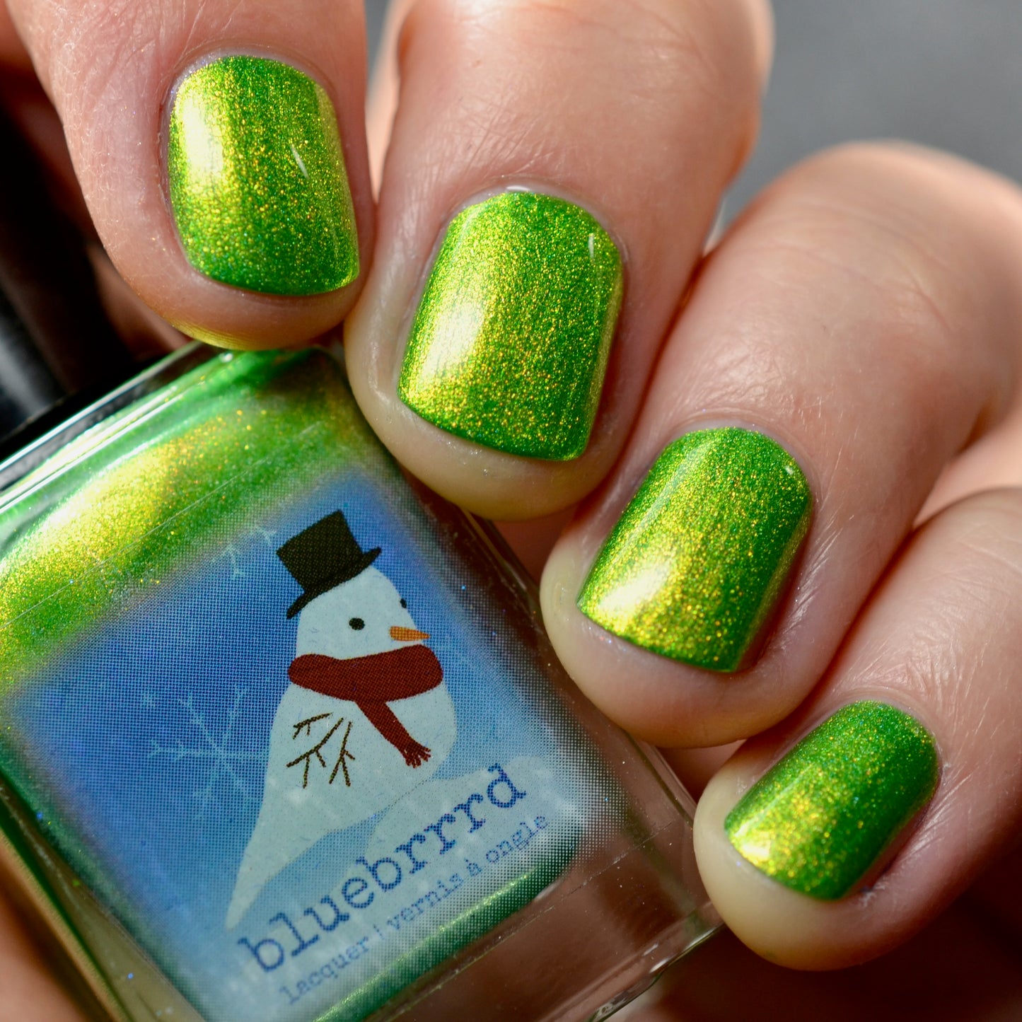 This Evenings Wintertainment