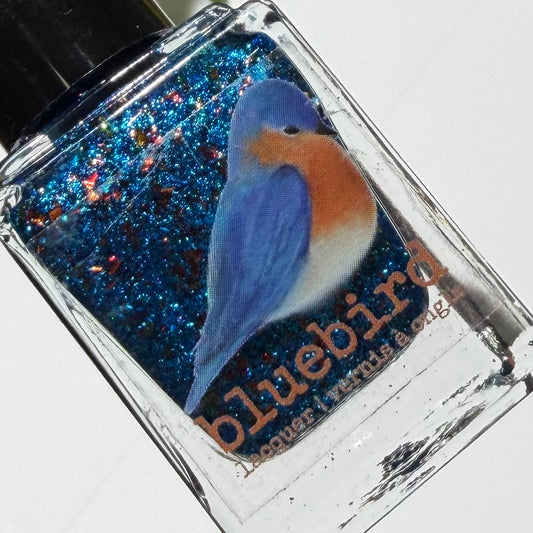 Kingfisher of the World