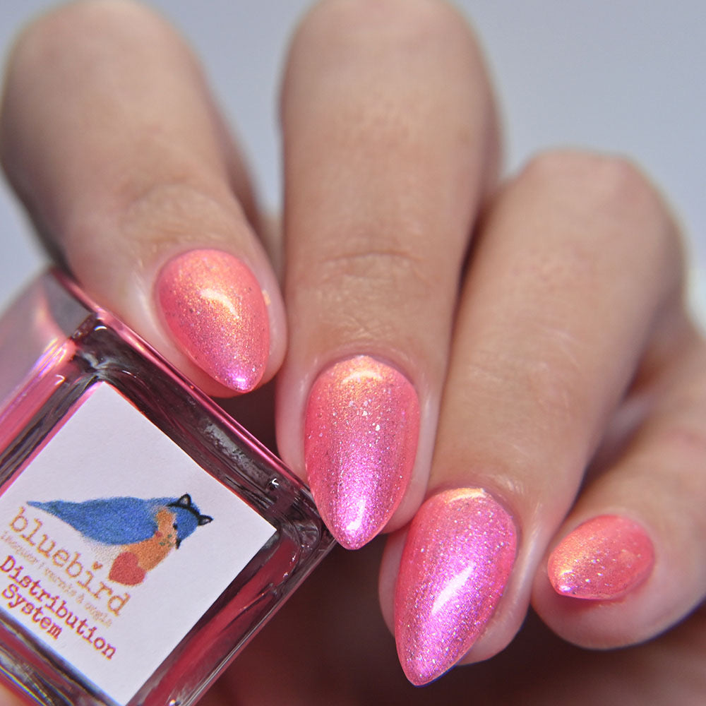 Cat Distribution System