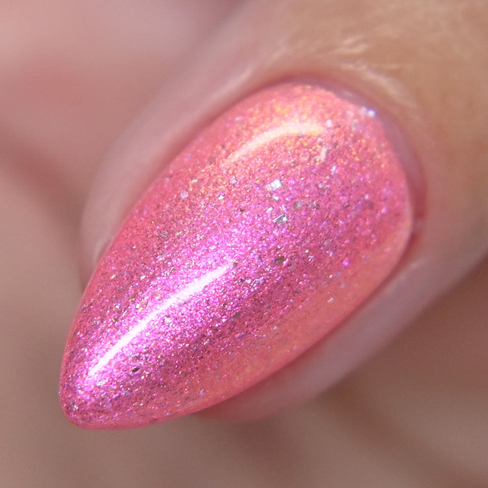 Cat Distribution System