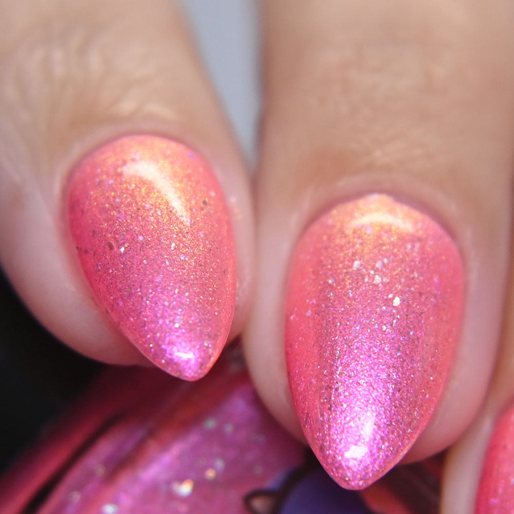 Cat Distribution System