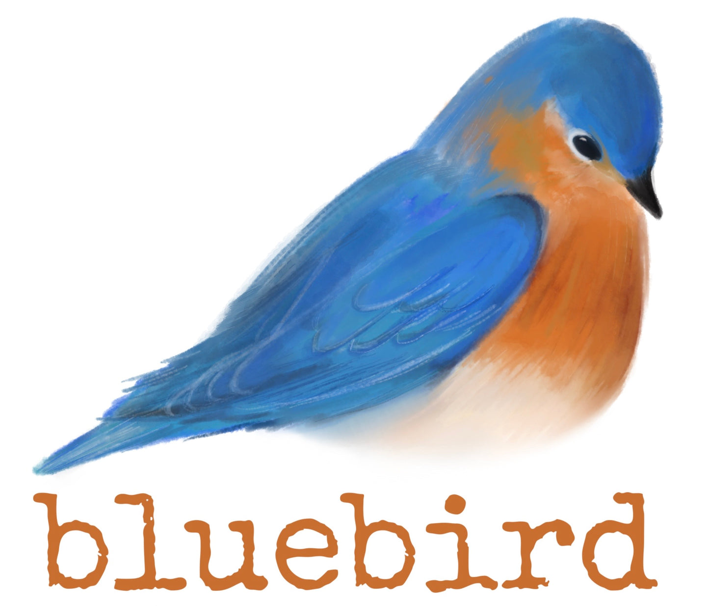 BIRT THE BLUEBIRD