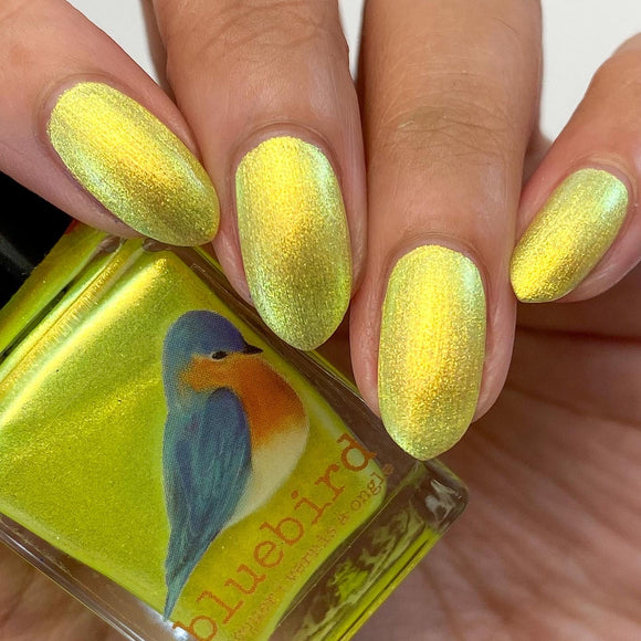 It’s Pelican Not Pelican’t
