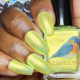 It’s Pelican Not Pelican’t